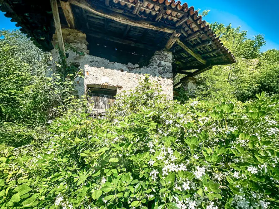 Immagine 11 di Rustico / casale in vendita  in Frazione Bertolotto a Grignasco