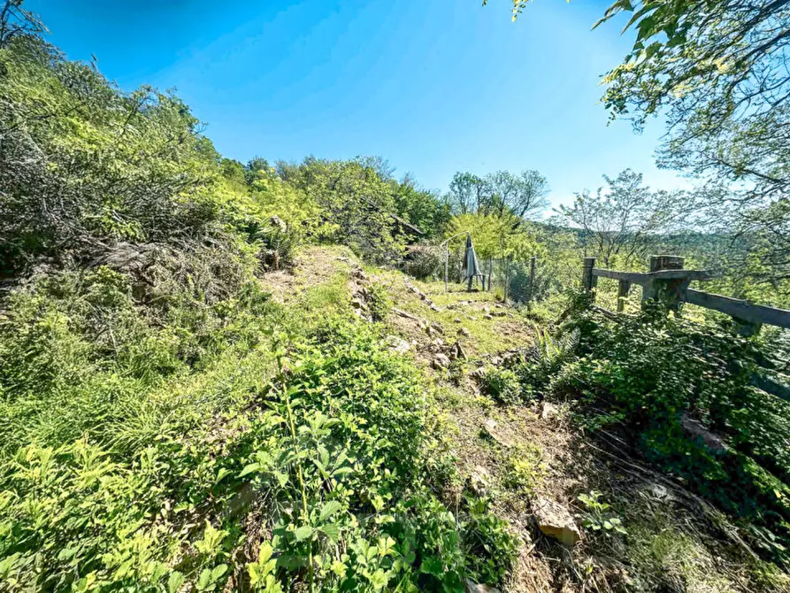 Immagine 13 di Rustico / casale in vendita  in Frazione Bertolotto a Grignasco