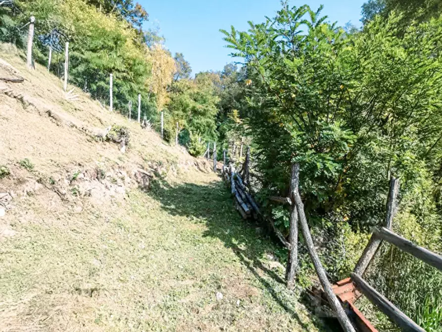 Immagine 16 di Rustico / casale in vendita  in Frazione Bertolotto a Grignasco
