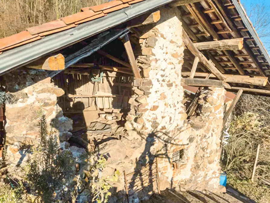 Immagine 19 di Rustico / casale in vendita  in Frazione Bertolotto a Grignasco