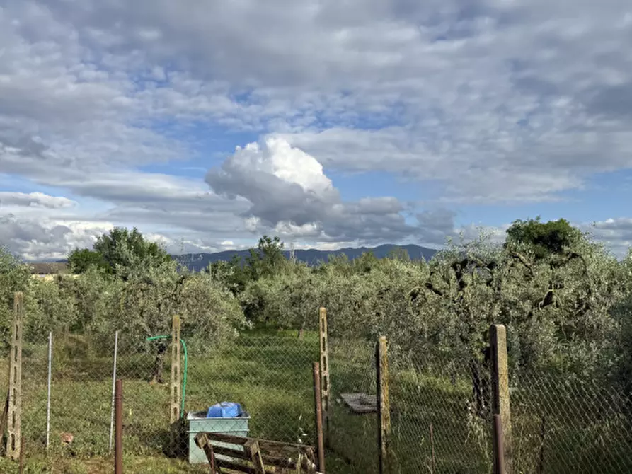 Immagine 4 di Terreno in vendita  a Terni