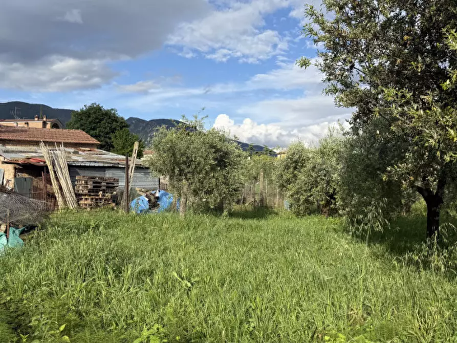 Immagine 5 di Terreno in vendita  a Terni