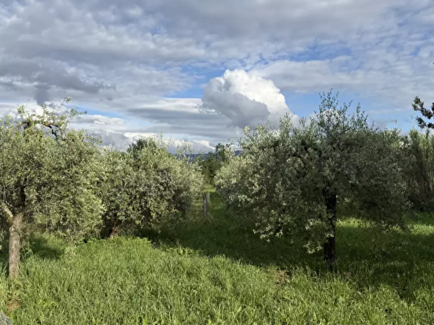 Immagine 6 di Terreno in vendita  a Terni