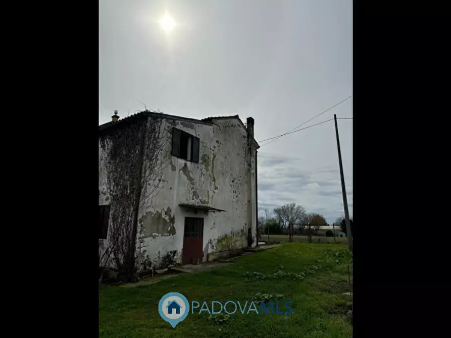 Immagine 4 di Casa bifamiliare in vendita  in Via Acquanera a Pernumia