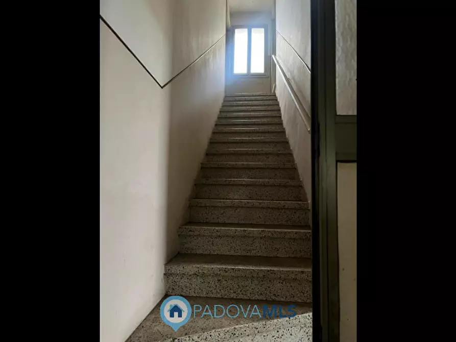 Immagine 7 di Casa bifamiliare in vendita  in Via Acquanera a Pernumia