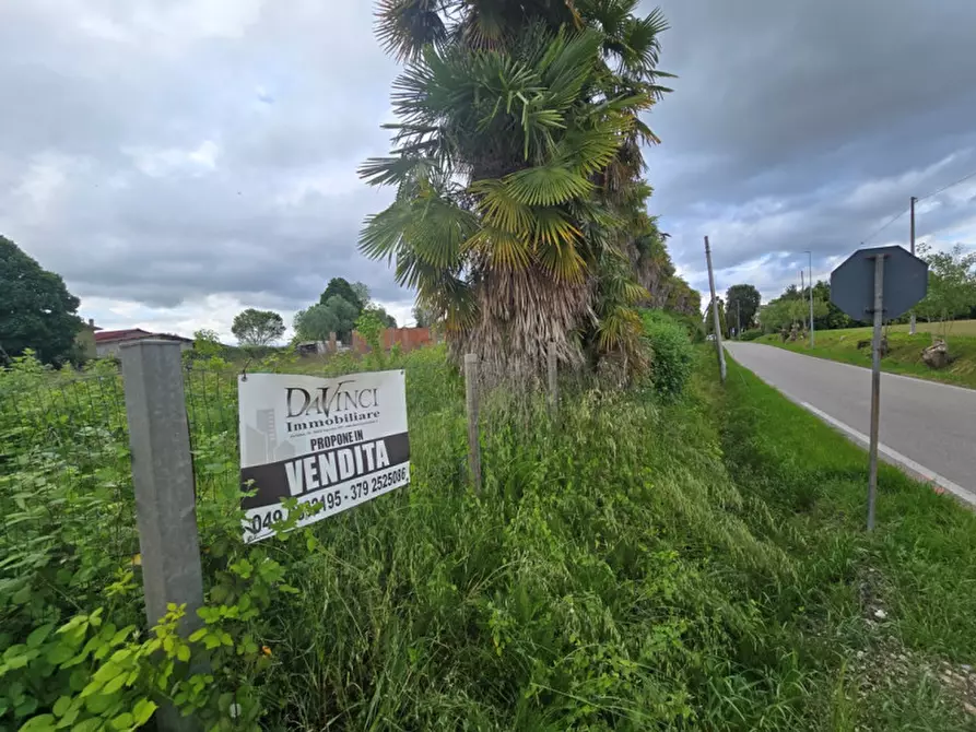 Immagine 1 di Terreno in vendita  in Via Padova a Vigonovo
