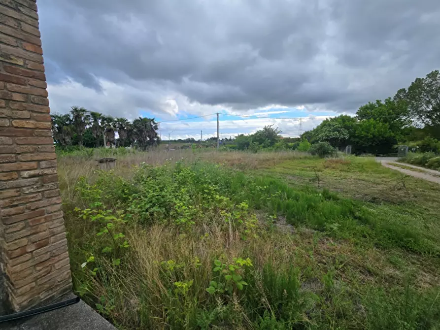 Immagine 2 di Terreno in vendita  in Via Padova a Vigonovo