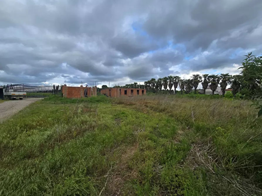 Immagine 3 di Terreno in vendita  in Via Padova a Vigonovo