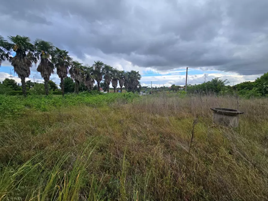 Immagine 11 di Terreno in vendita  in Via Padova a Vigonovo