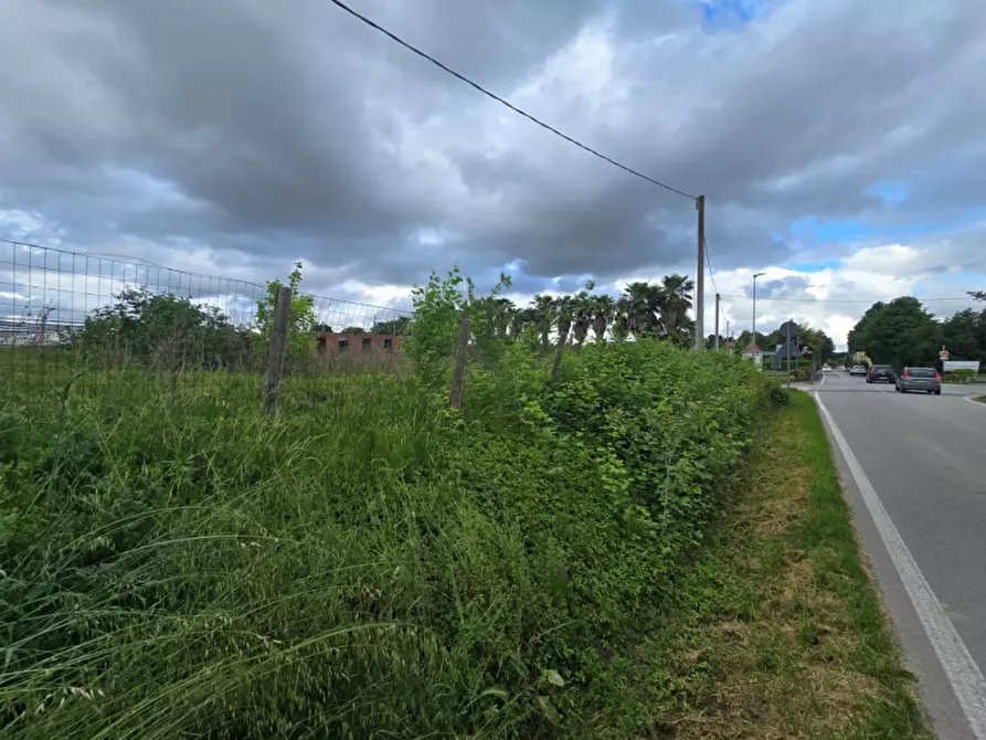 Immagine 14 di Terreno in vendita  in Via Padova a Vigonovo