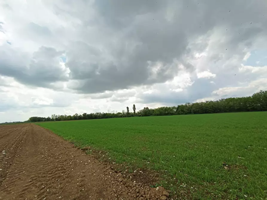 Immagine 2 di Terreno in vendita  in Via mariola 40 a Gussago