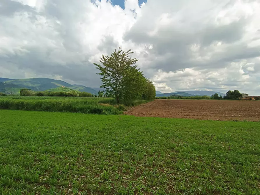 Immagine 3 di Terreno in vendita  in Via mariola 40 a Gussago