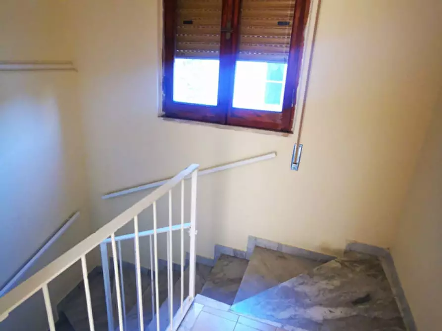 Immagine 22 di Appartamento in vendita  in Via Francesco Paglia a Catanzaro