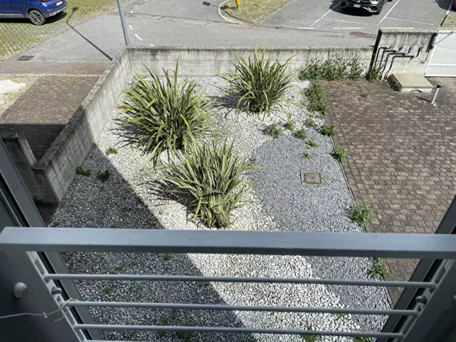 Immagine 7 di Appartamento in vendita  a Suzzara