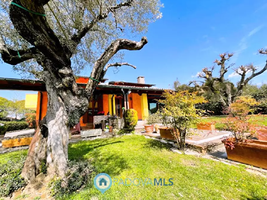 Immagine 2 di Villa in vendita  in Via Monte Cengio a Vigonza