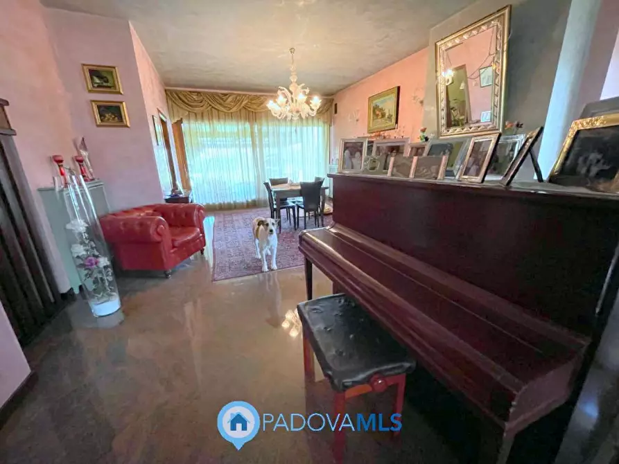 Immagine 18 di Villa in vendita  in Via Monte Cengio a Vigonza