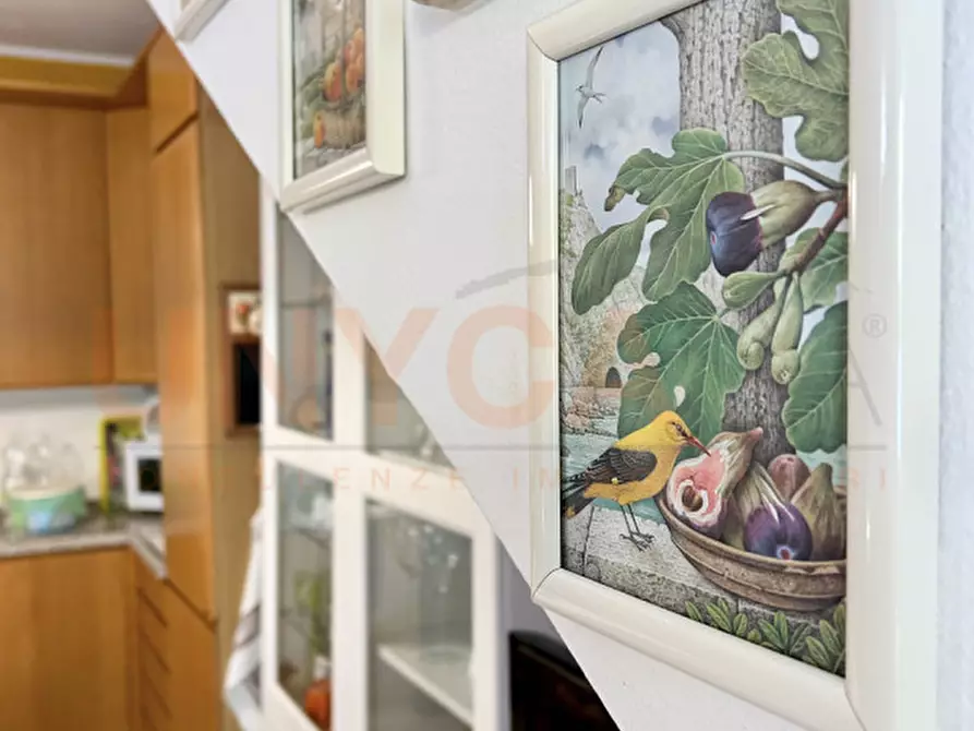 Immagine 7 di Casa quadrifamiliare in vendita  in via Niccolò Tommaseo, 47 a Castegnero