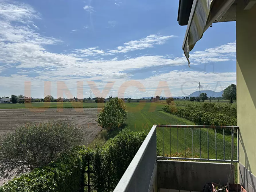 Immagine 11 di Casa quadrifamiliare in vendita  in via Niccolò Tommaseo, 47 a Castegnero