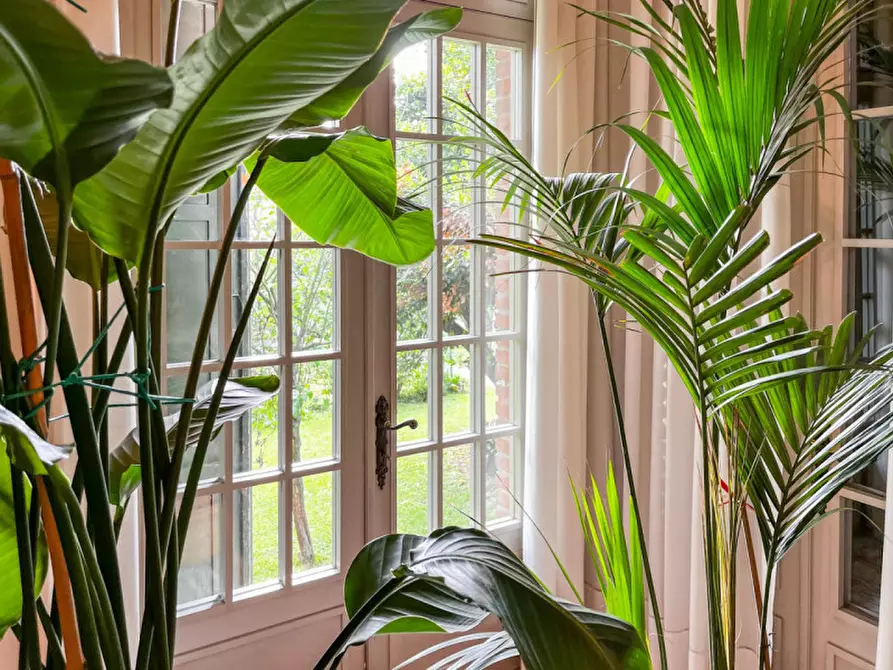 Immagine 20 di Casa indipendente in vendita  in Via Albere a Megliadino San Vitale