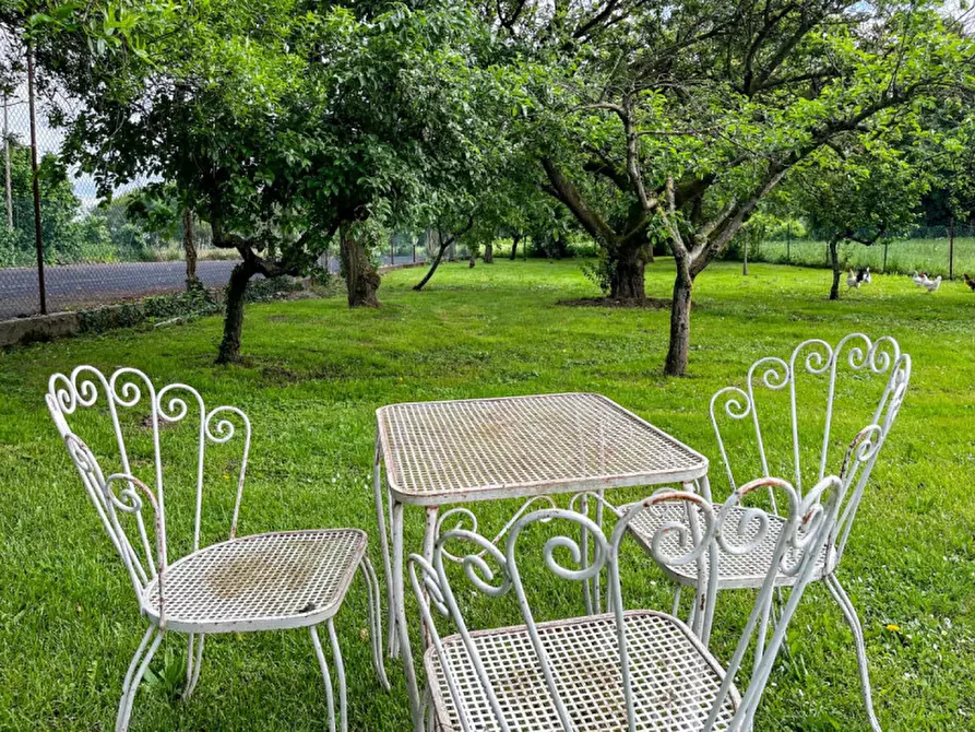 Immagine 27 di Casa indipendente in vendita  in Via Albere a Megliadino San Vitale