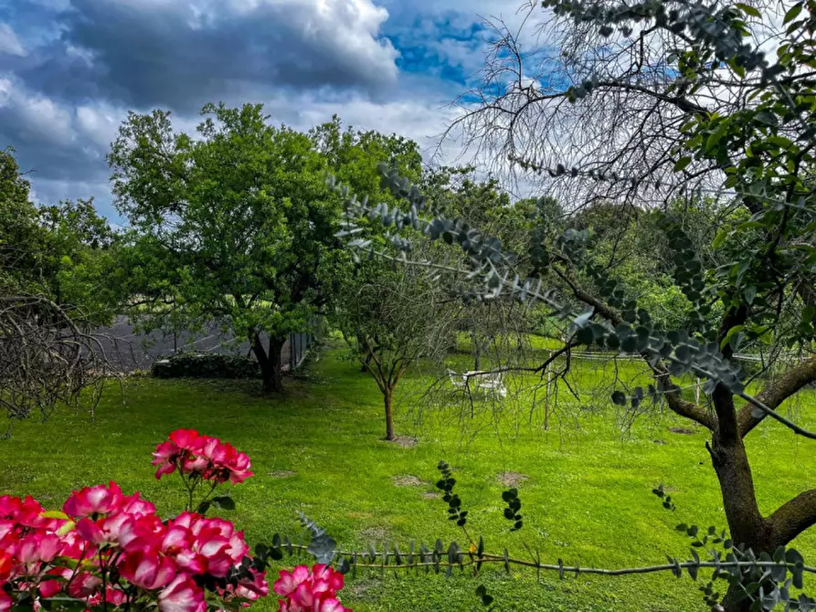 Immagine 30 di Casa indipendente in vendita  in Via Albere a Megliadino San Vitale
