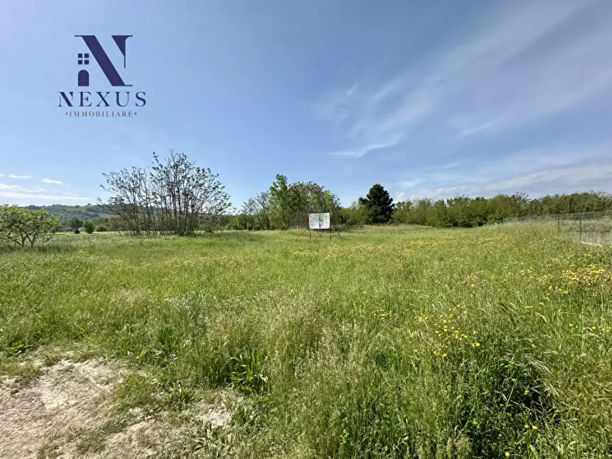 Immagine 2 di Terreno in vendita  a Colli Al Metauro