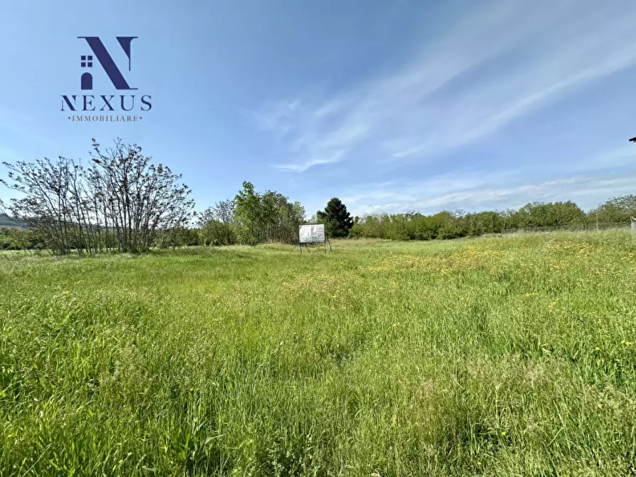 Immagine 3 di Terreno in vendita  a Colli Al Metauro