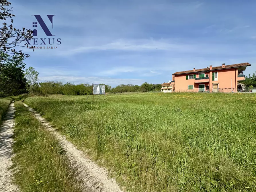 Immagine 4 di Terreno in vendita  a Colli Al Metauro