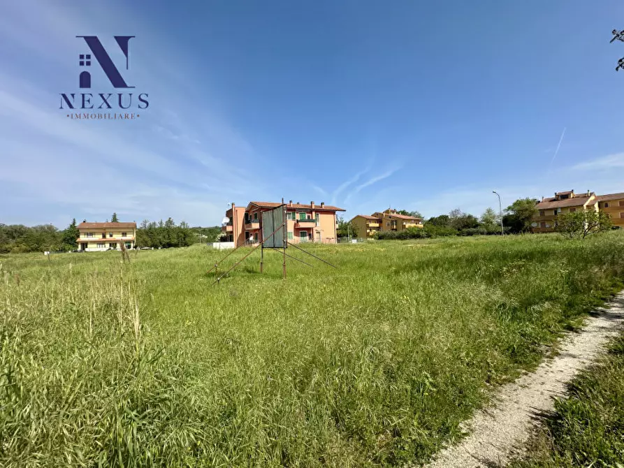 Immagine 5 di Terreno in vendita  a Colli Al Metauro