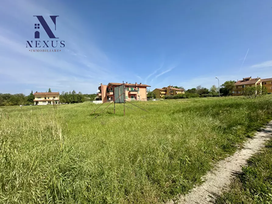 Immagine 6 di Terreno in vendita  a Colli Al Metauro