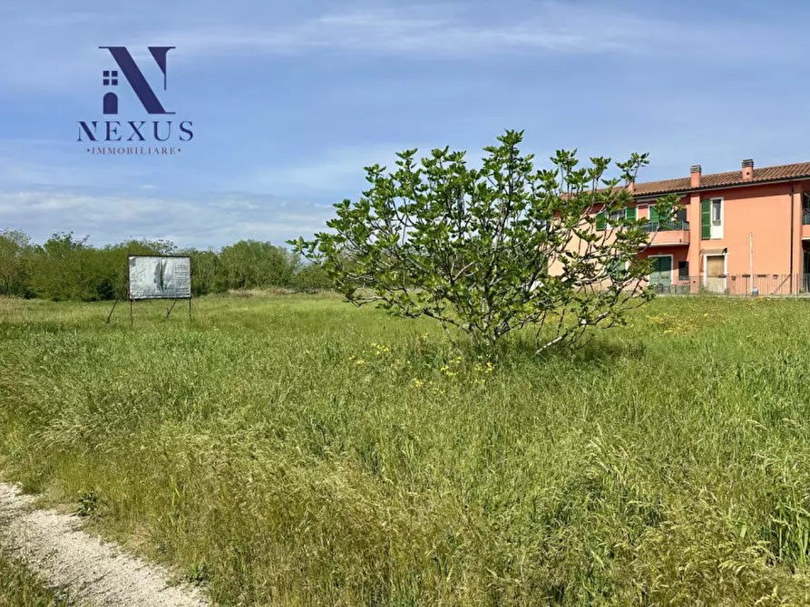 Immagine 7 di Terreno in vendita  a Colli Al Metauro