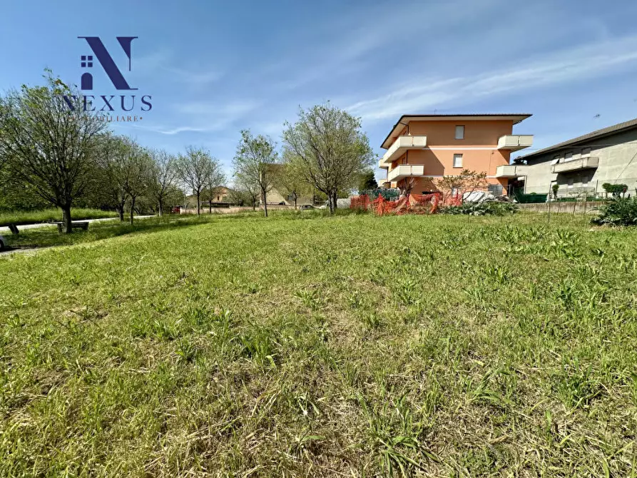 Immagine 3 di Terreno in vendita  a Colli Al Metauro