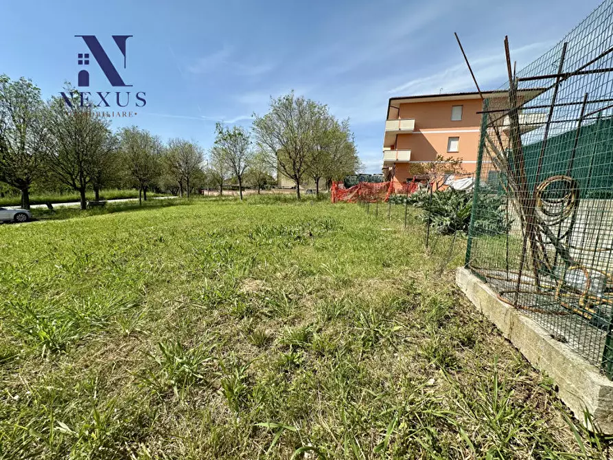 Immagine 4 di Terreno in vendita  a Colli Al Metauro