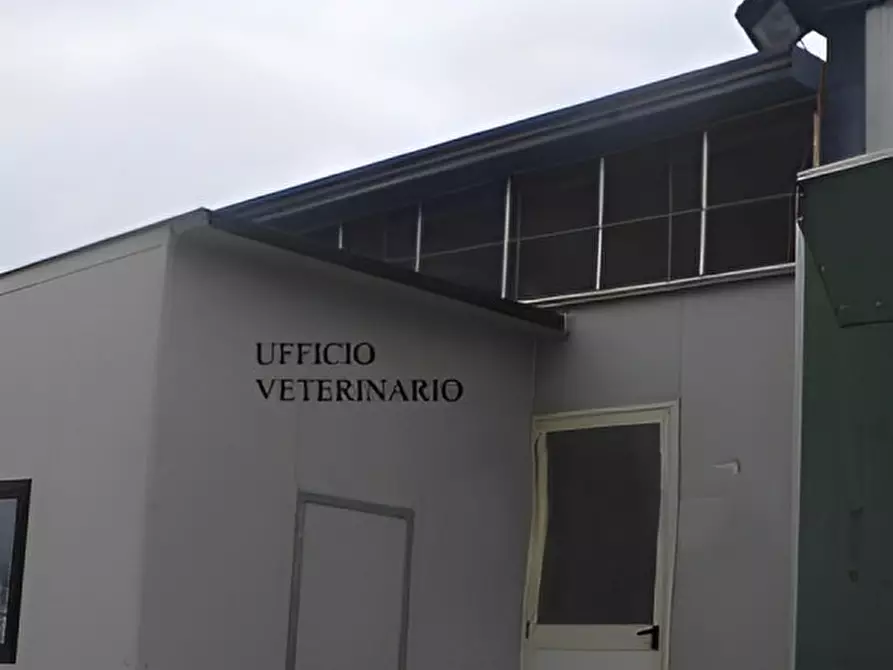 Immagine 2 di Capannone industriale in vendita  in C.da Boscotrecase - C.da Marmo a Picerno