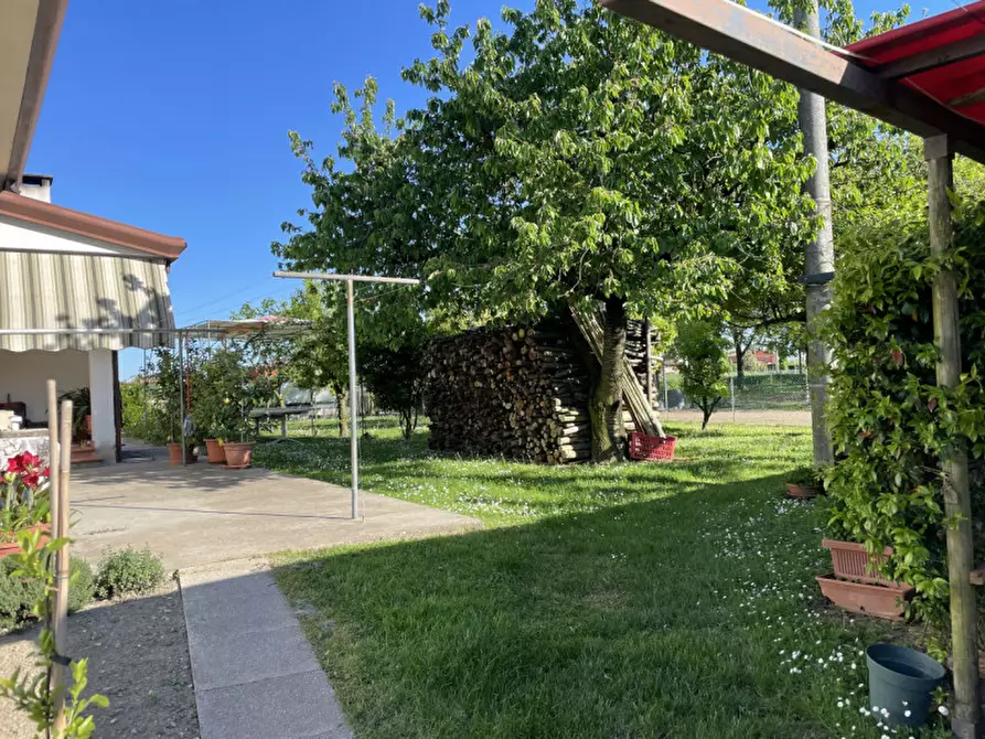 Immagine 6 di Casa indipendente in vendita  in via roma a Arzergrande