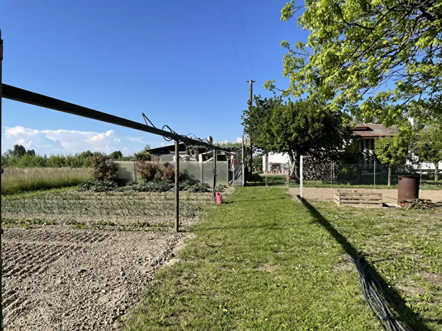 Immagine 8 di Casa indipendente in vendita  in via roma a Arzergrande