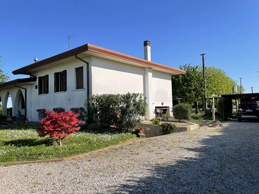 Immagine 15 di Casa indipendente in vendita  in via roma a Arzergrande