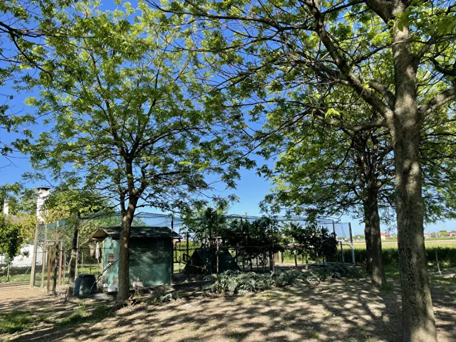 Immagine 17 di Casa indipendente in vendita  in via roma a Arzergrande