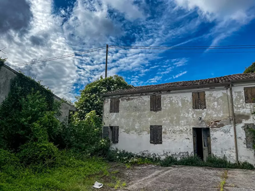 Immagine 15 di Casa indipendente in vendita  in Via Albere a Megliadino San Vitale