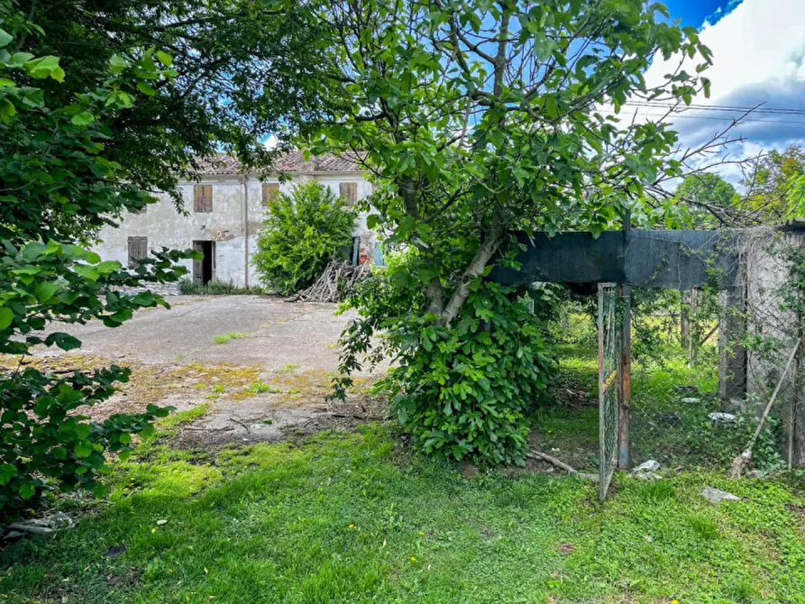 Immagine 18 di Casa indipendente in vendita  in Via Albere a Megliadino San Vitale