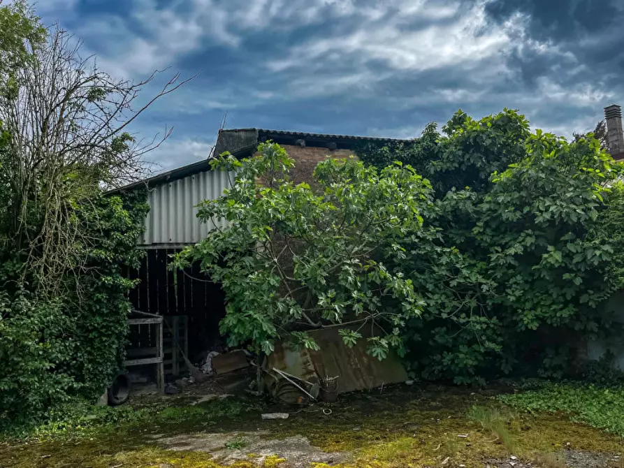Immagine 19 di Casa indipendente in vendita  in Via Albere a Megliadino San Vitale