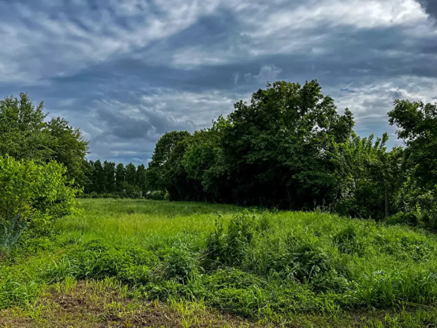 Immagine 22 di Casa indipendente in vendita  in Via Albere a Megliadino San Vitale