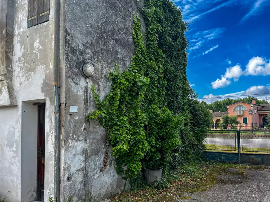 Immagine 31 di Casa indipendente in vendita  in Via Albere a Megliadino San Vitale