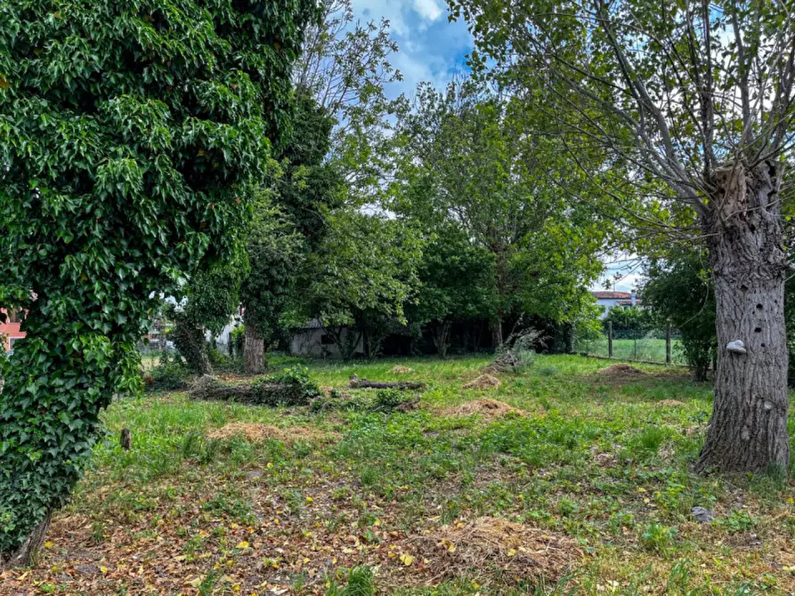 Immagine 37 di Casa indipendente in vendita  in Via Adige Inferiore a Sant'urbano