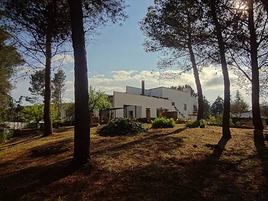 Immagine 2 di Villa in vendita  in FREEX a Martina Franca