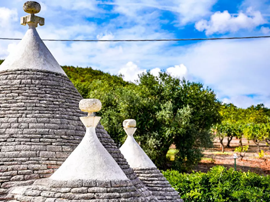 Immagine 3 di Villa in vendita  in FREEX a Martina Franca