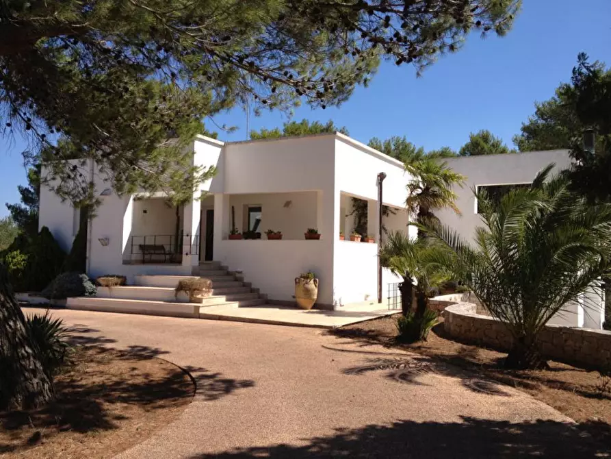 Immagine 81 di Villa in vendita  in FREEX a Martina Franca