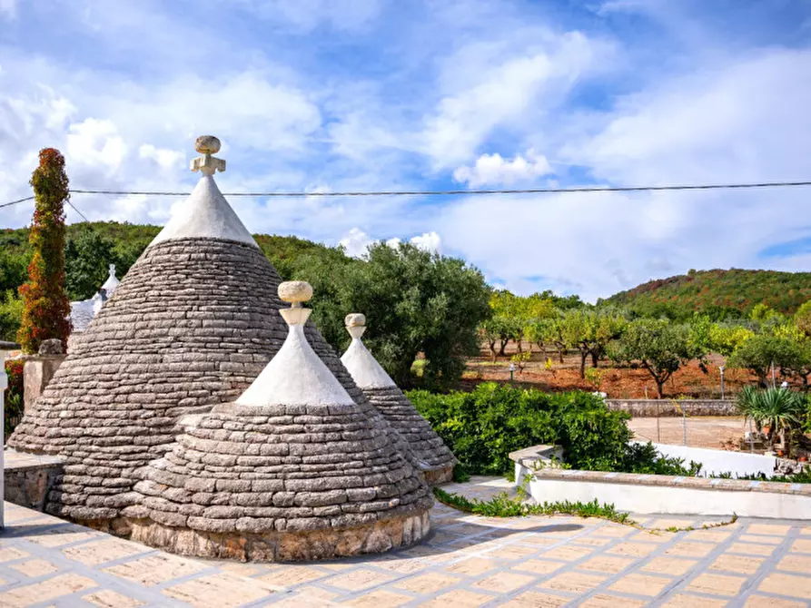 Immagine 87 di Villa in vendita  in FREEX a Martina Franca