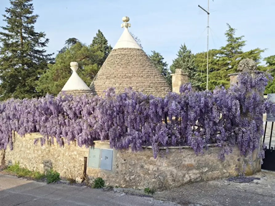Immagine 120 di Villa in vendita  in FREEX a Martina Franca