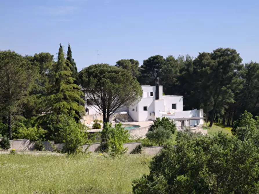 Immagine 121 di Villa in vendita  in FREEX a Martina Franca